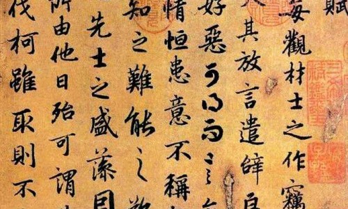 吃什么可以让尿变清-什么食物会让尿浑浊网—知名的哪些食物会让尿变黄网站,分享哪些食物会让尿液变黄知识