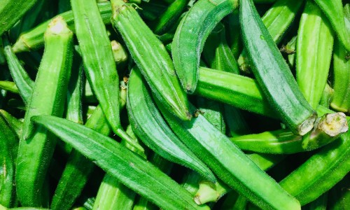 吃什么食物尿会变黄-什么食物会让尿浑浊网—知名的哪些食物会让尿变黄网站,分享哪些食物会让尿液变黄知识